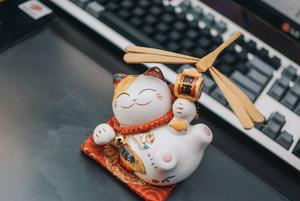 giấy phép Kubet